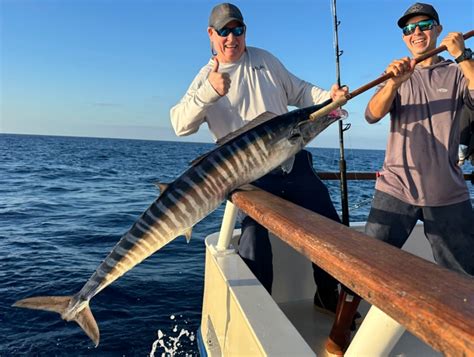 royal star sportfishing|royal star sportfishing report.